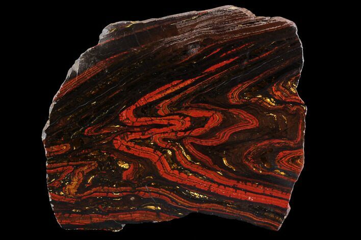 Polished Tiger Iron Stromatolite - ( Billion Years) #96228